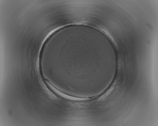 X0000114120932200910051508