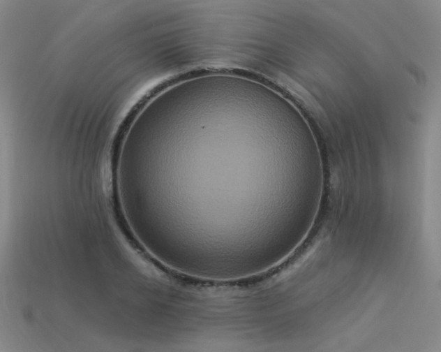 X0000114120934200910051508