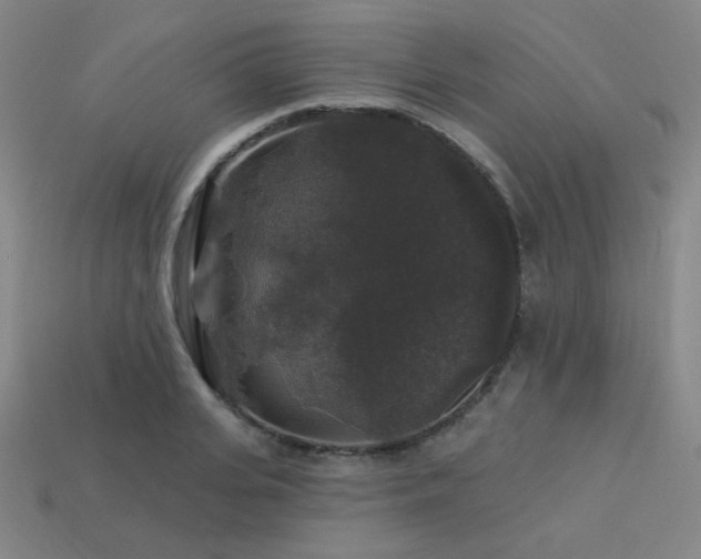 X0000114120935200910051508