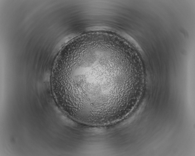 X0000114120937200910051508