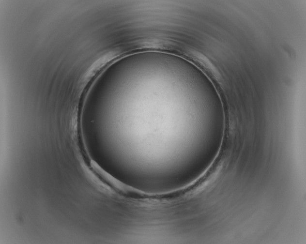 X0000114120938200910051508