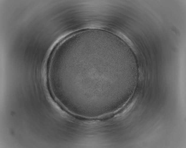 X0000114120939200910051508