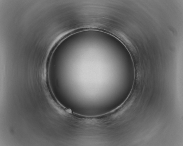 X0000114120940200910051508