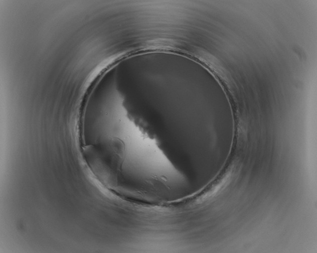 X0000114120941200910051508