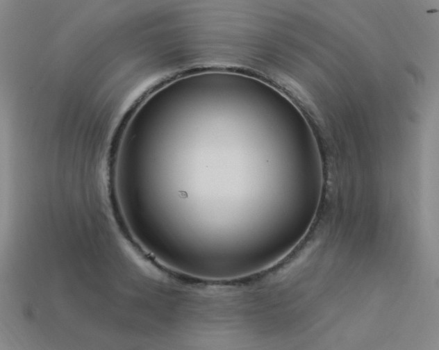 X0000114120942200910051508