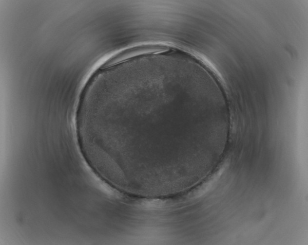 X0000114120943200910051508