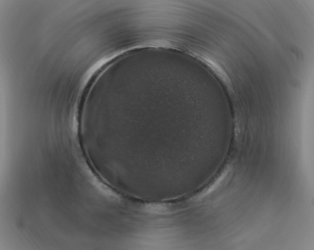 X0000114120944200910051508