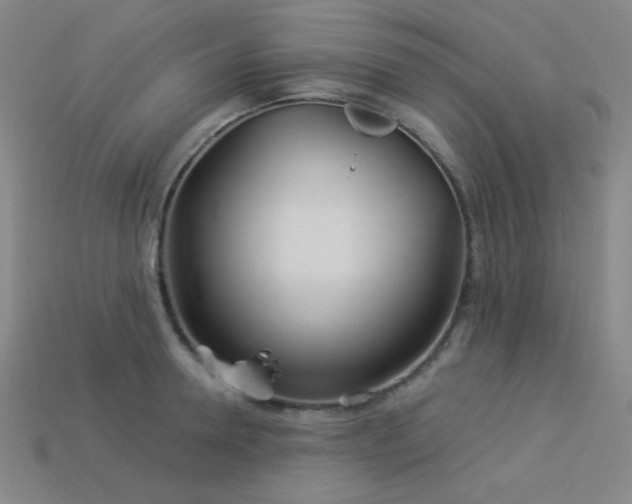 X0000114120946200910051508