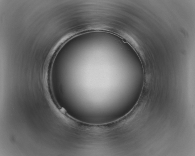 X0000114120947200910051508