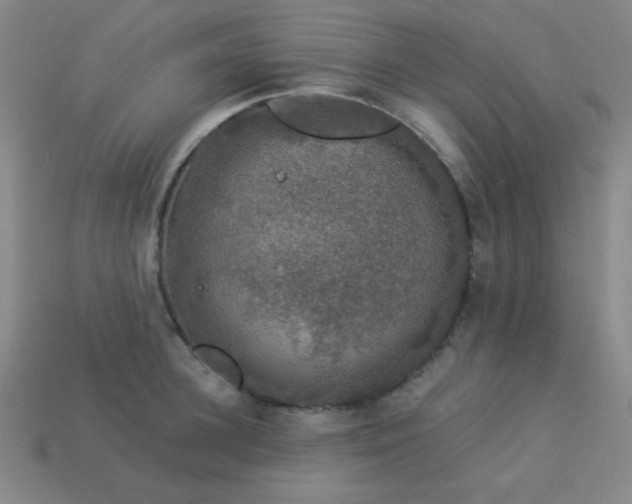X0000114120948200910051508
