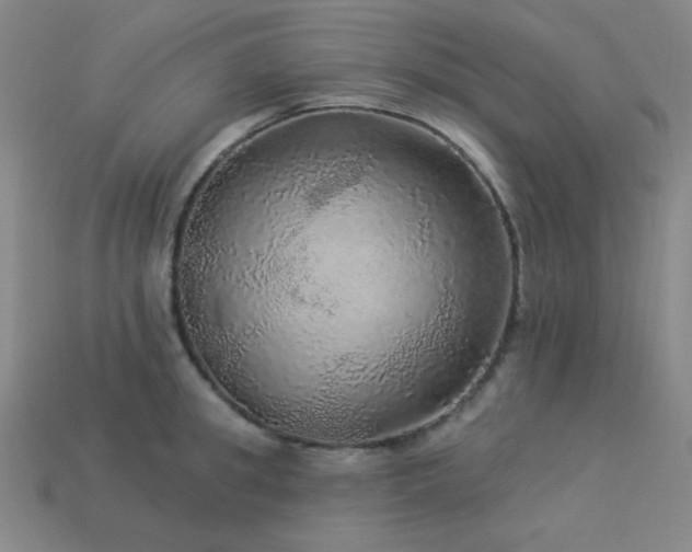 X0000114120949200910051508