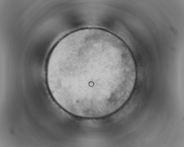 X0000114120950200910051508