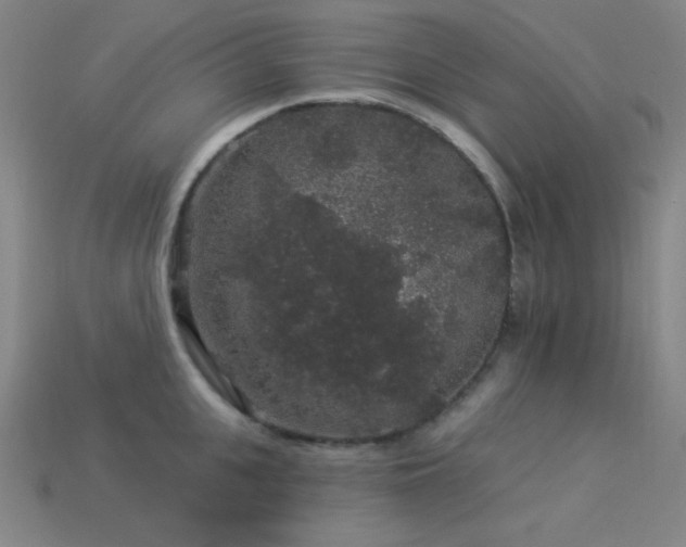 X0000114120951200910051508