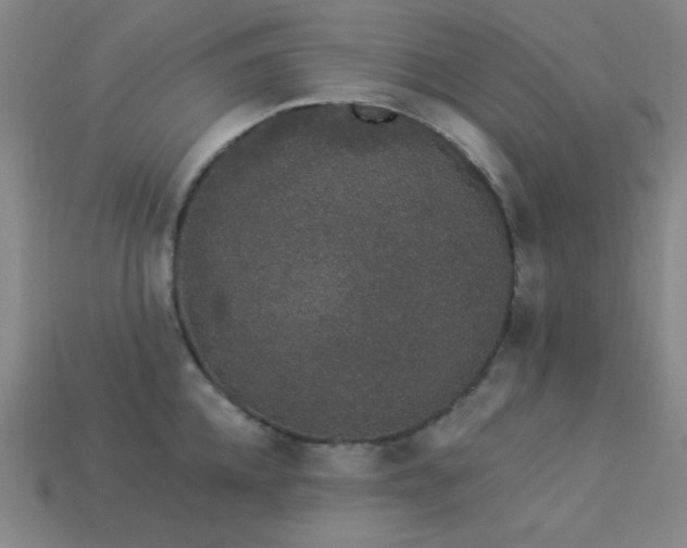 X0000114120952200910051508