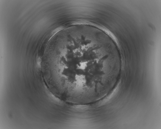 X0000114120953200910051508