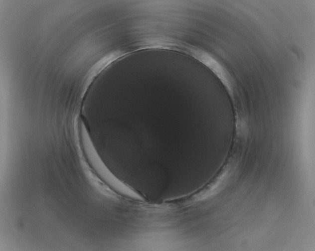 X0000114120954200910051508