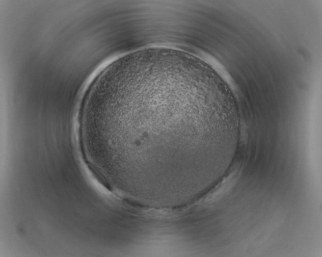 X0000114120955200910051508