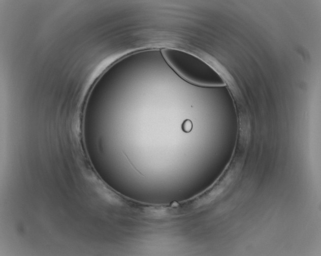 X0000114120956200910051508