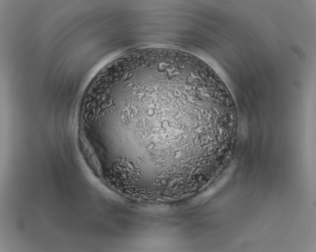 X0000114120957200910051508