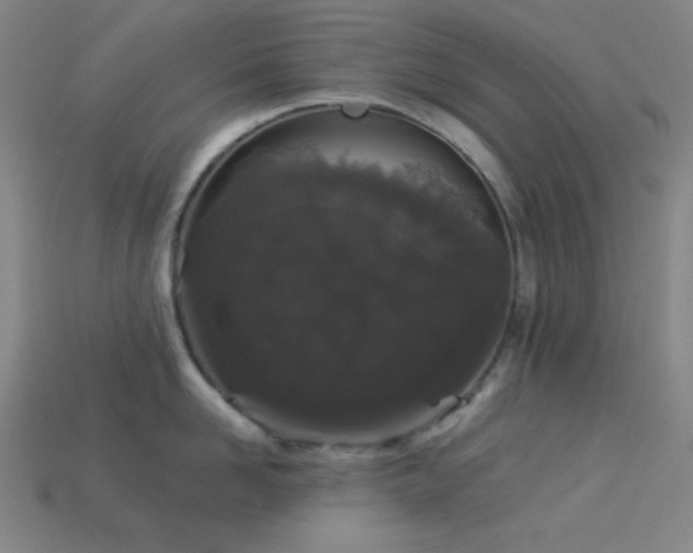 X0000114120958200910051508