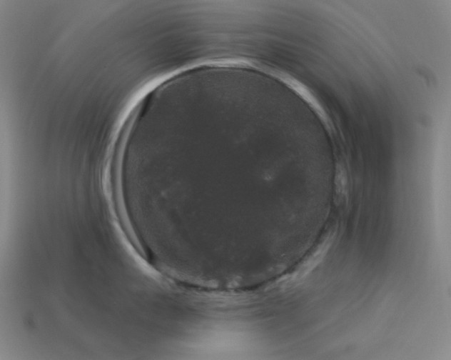 X0000114120959200910051508