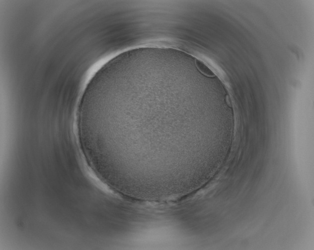 X0000114120960200910051508