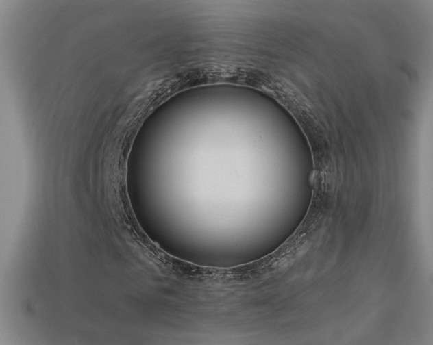 X0000114120961200910051507