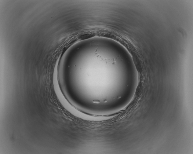 X0000114120965200910051507