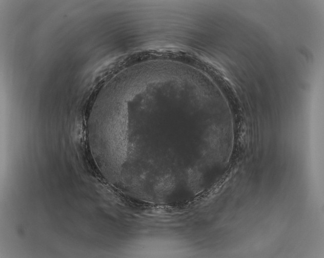 X0000114120966200910051507