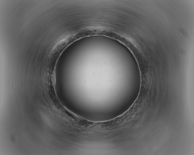X0000114120967200910051507