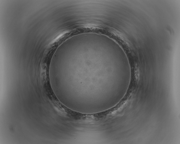 X0000114120968200910051507