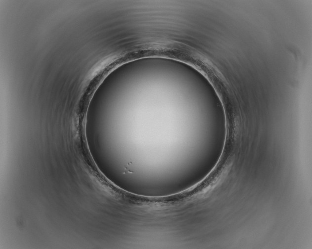 X0000114120970200910051507