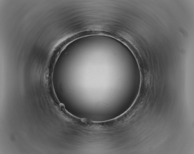 X0000114120971200910051507