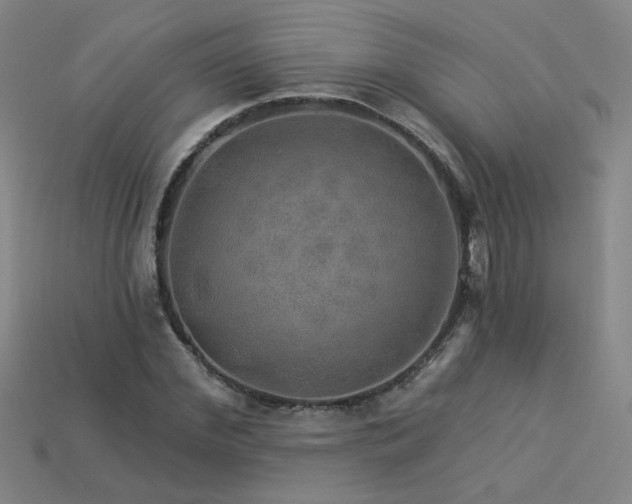 X0000114120972200910051507