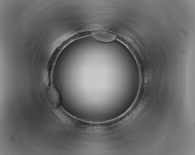 X0000114120973200910051507