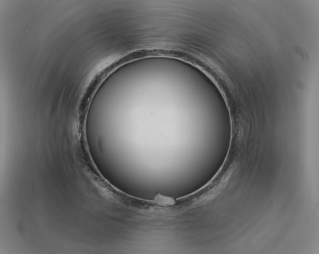 X0000114120974200910051507