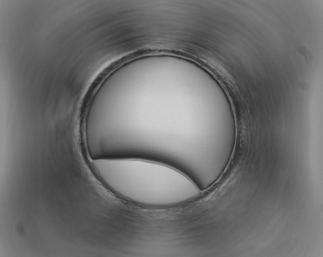 X0000114120976200910051507