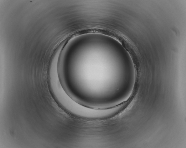 X0000114120977200910051507