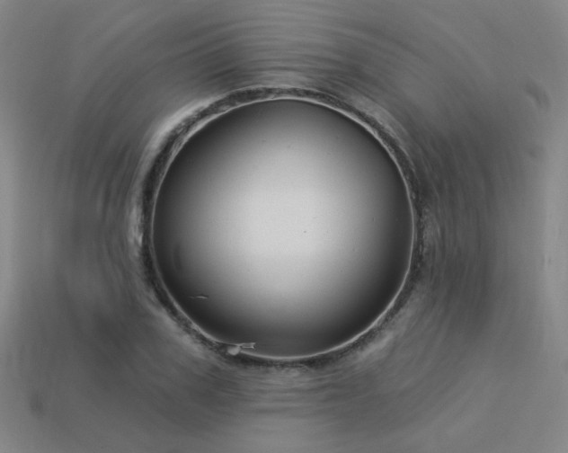 X0000114120979200910051507