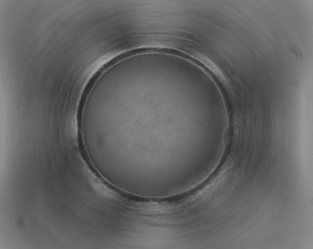 X0000114120980200910051507