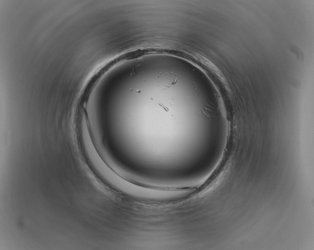X0000114120981200910051507