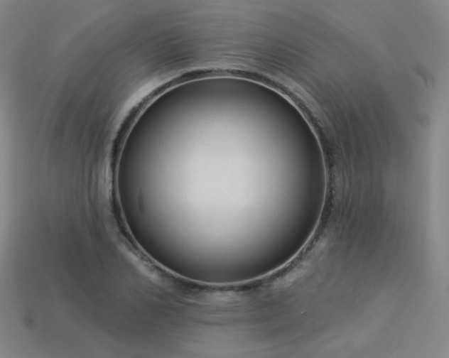 X0000114120982200910051507