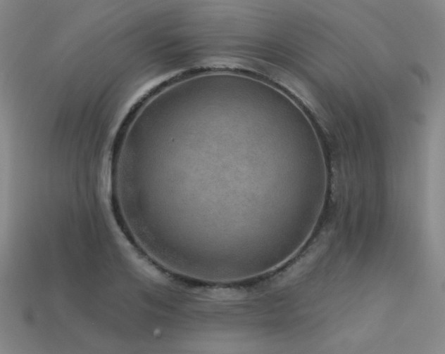 X0000114120984200910051507