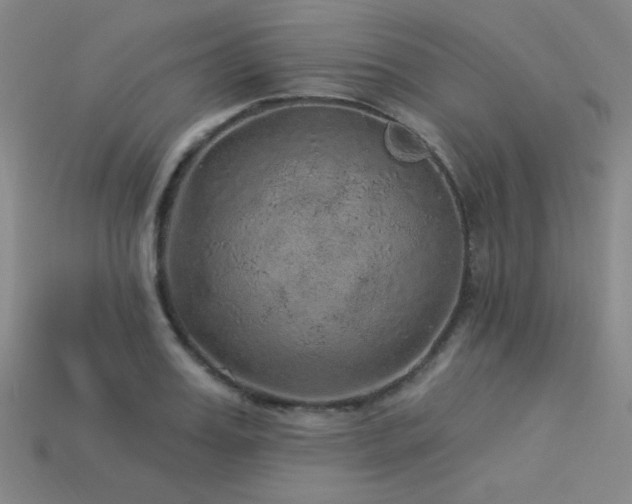 X0000114120987200910051507