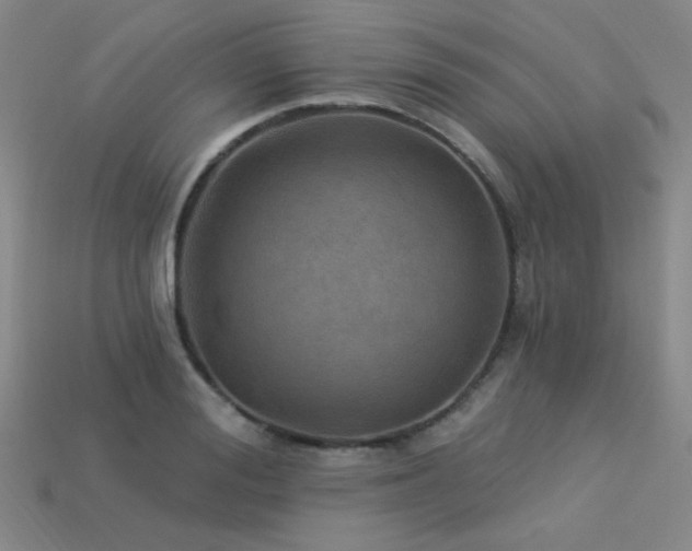 X0000114120988200910051507