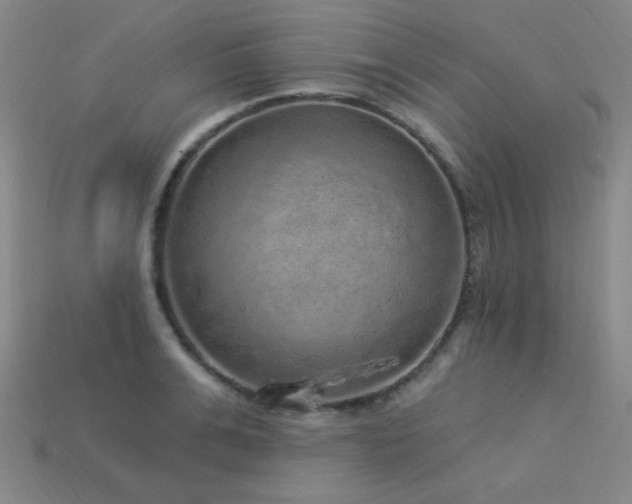 X0000114120991200910051507