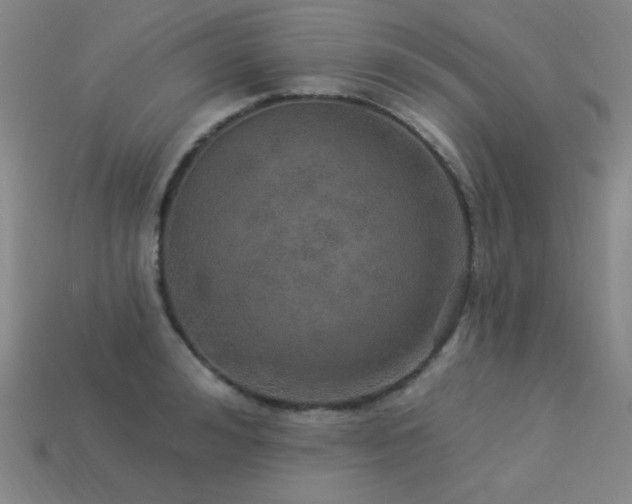X0000114120992200910051507