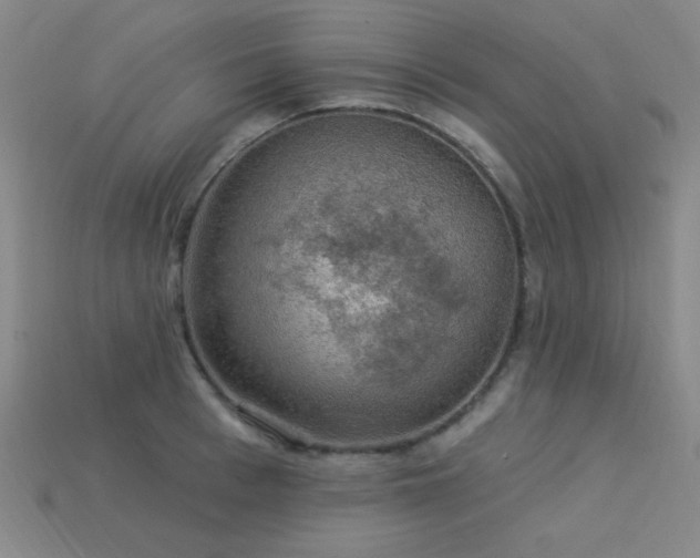 X0000114120993200910051507