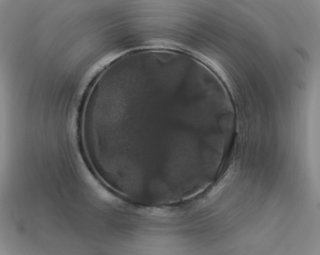 X0000114120995200910051507