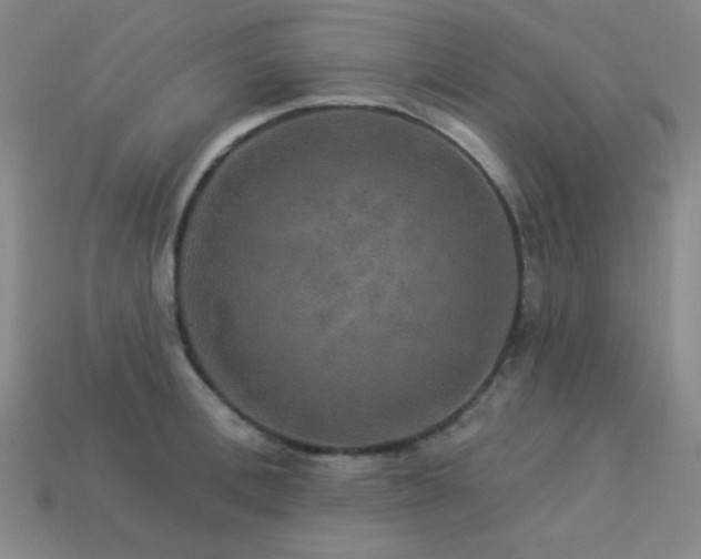 X0000114120996200910051507